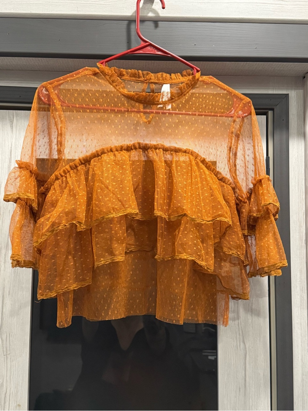 Truth NYC Burnt Orange Sheer Ruffle Dot Top
